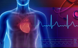 Làm sao kiểm soát cơn rung nhĩ, ổn định lại nhịp tim?