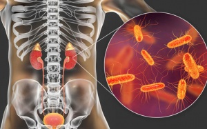 Suýt hỏng thận, suy thận vì tự ý điều trị bằng kháng sinh