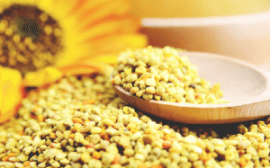 Thực hư tác dụng tăng kích cỡ vòng một của phấn hoa