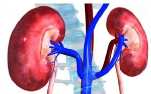 Suy thận độ 1 có chữa được không?