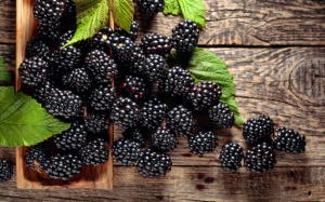 6 lợi ích của quả mâm xôi đen: Tốt cho từ da tới não bộ