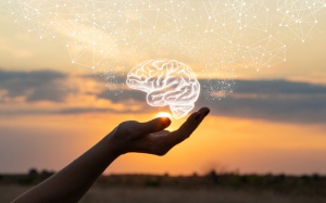 Tử vi thứ Bảy (8/7/2023): Song Ngư nên sống lý trí hơn