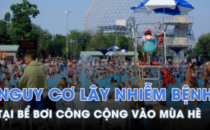 Nguy cơ nhiễm bệnh tại các bể bơi công cộng vào mùa hè