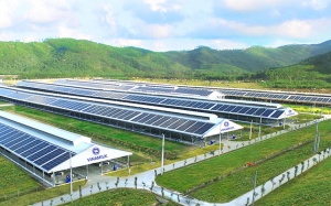 “Giảm thiểu-Hấp thụ” để xóa dấu chân carbon: Nhìn từ các thực hành tại Vinamilk