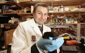 Phát hiện loại thuốc có thể đảo ngược quá trình lão hóa