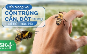 Podcast: Cẩn trọng với côn trùng cắn, đốt trong thời tiết mùa Hè