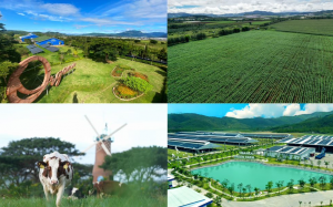 Trang trại xanh của Vinamilk