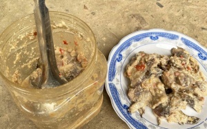 Quảng Nam: Lại ghi nhận nhiều trường hợp ngộ độc liên quan món cá ủ chua