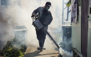 WHO cảnh báo 'mối đe dọa đại dịch' sốt xuất huyết do sự nóng lên toàn cầu