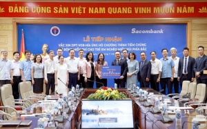 Việt Nam nhận 258.000 liều vaccine 5 trong 1 để tiêm miễn phí cho trẻ