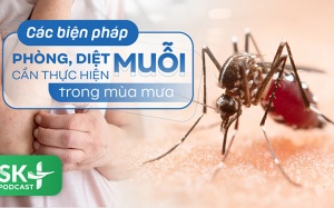 Podcast: Các biện pháp diệt muỗi, phòng muỗi cần thực hiện trong mùa mưa