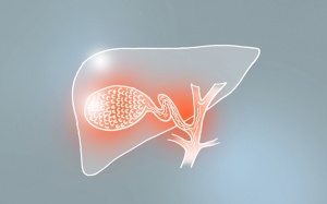 Sỏi bùn mật: Đang cho con bú dùng TPBVSK Kim Đởm Khang được không?