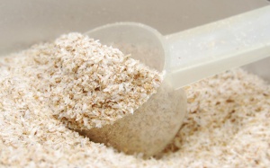 Tiềm năng của vỏ hạt mã đề với sức khỏe