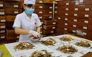 Hơn 100 thuốc, vị thuốc y học cổ truyền, được gia hạn, cấp mới giấy lưu hành