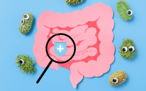 Sức khoẻ đường ruột ảnh hưởng đến chu kỳ kinh nguyệt như thế nào?