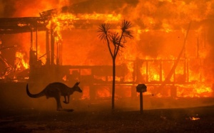 Biến đổi khí hậu có thể 'thổi bay' hơn 400 tỉ AUD của Australia