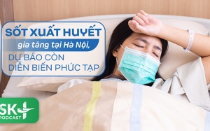 Podcast: Sốt xuất huyết gia tăng tại Hà Nội, dự báo còn diễn biến phức tạp
