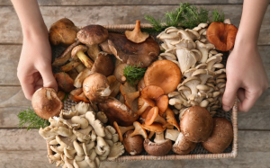 Vì sao nên ăn nấm hàng tuần?