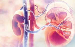 Điểm mặt những biến chứng do suy thận mạn