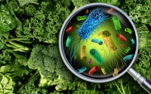 FAO và WHO công bố báo cáo về các mối nguy trong nông sản