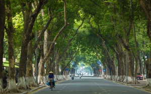 Cả nước ban ngày hửng nắng, chiều tối mưa dông