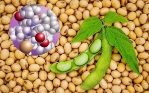 Lunasin - Chiết xuất đậu tương được chứng minh giúp hỗ trợ phòng ngừa ung thư