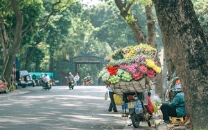 Cả nước có nắng vào ban ngày