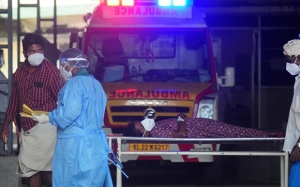 Bùng phát virus Nipah ở Ấn Độ, WHO cảnh báo về đại dịch tiếp theo