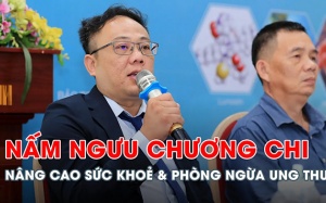 Công dụng của nấm Ngưu Chương Chi trong phòng ngừa các bệnh ung thư