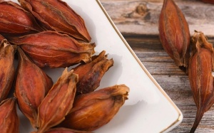 Dành dành – Bước cải tiến của y học trong hỗ trợ điều trị suy thận