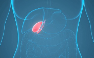 Sỏi bùn kín túi mật dùng TPBVSK Kim Đởm Khang còn hiệu quả không?