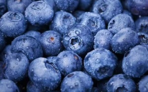 Ăn quả việt quất có thể giúp cải thiện đau lưng