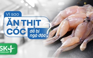 Podcast: Vì sao ăn thịt cóc dễ bị ngộ độc?