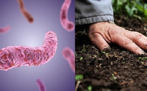 Cuộc chiến với vi khuẩn “ăn thịt người”