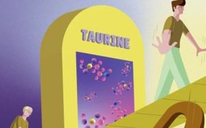 Bác sĩ chia sẻ thực phẩm bổ sung giúp chống lão hóa