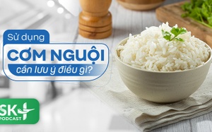 Podcast: Sử dụng cơm nguội cần lưu ý điều gì?