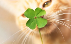 Tử vi thứ Sáu (3/11/2023): Nhân Mã sẽ có ngày mới khá may mắn