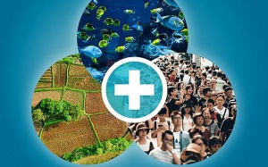 One Health: Hành động vì một thế giới khỏe mạnh và an toàn hơn 