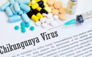 Phê duyệt vaccine phòng virus Chikungunya đầu tiên trên thế giới 
