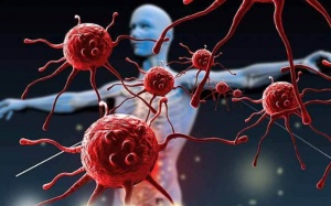 “Thủ phạm” gây ra các bệnh tự miễn hiện nay