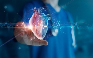 Phương pháp đốt điện tim có thể được áp dụng khi nào?