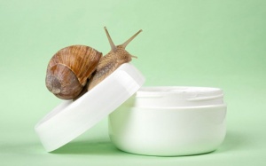 Sự thật về tinh chất ốc sên trong mỹ phẩm