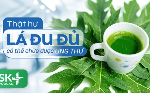 Podcast: Thật hư lá đu đủ có thể chữa được ung thư?