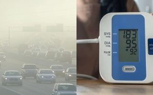 Tăng huyết áp do ô nhiễm không khí từ giao thông