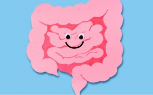 Bạn có biết hệ thần kinh ruột giống như bộ não thứ hai của con người?
