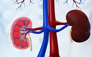 Cách cải thiện tình trạng suy giảm chức năng thận  