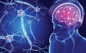 Bạn có biết sức khỏe đường ruột ảnh hưởng lớn đến tinh thần?