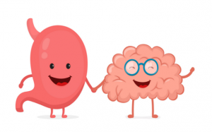 Bạn có biết “ruột khỏe” thì “não vui?”