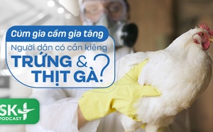 Podcast: Cúm gia cầm gia tăng: Người dân có cần kiêng trứng và thịt gà?