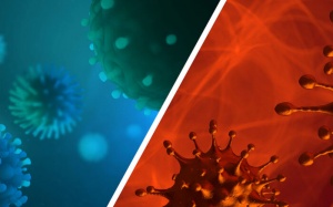 Người bị cúm nặng có thể để lại di chứng kéo dài như COVID-19